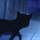 DrNoir